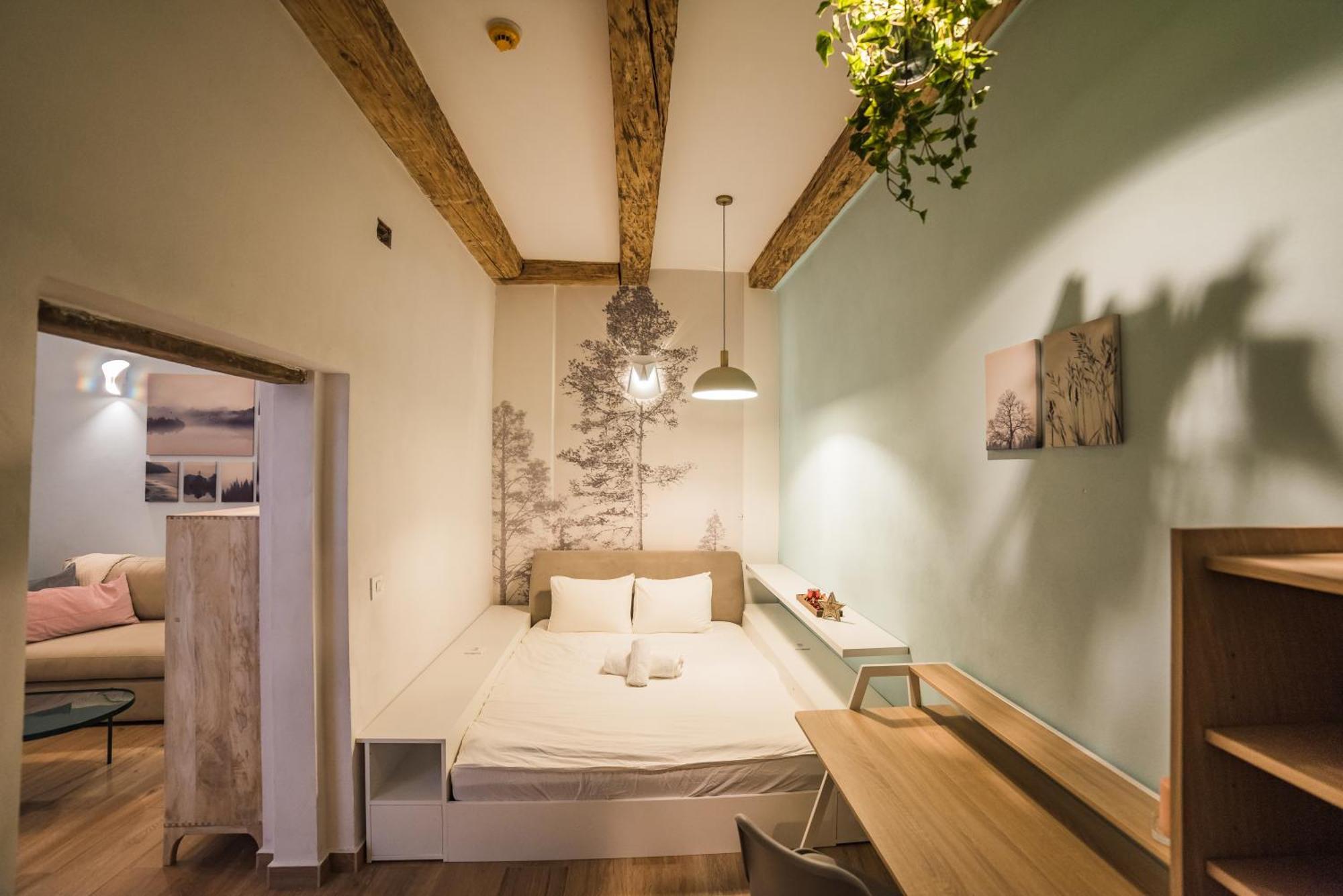 Casa Verde - Brasov Homes Kültér fotó